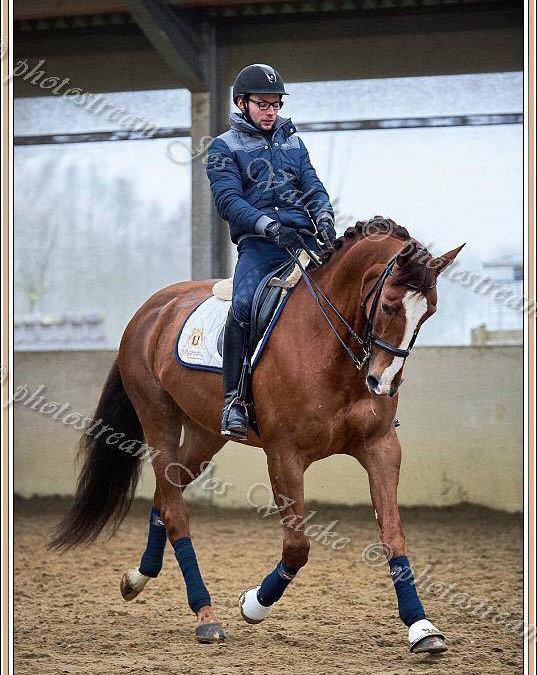 14 februari 2016, Gregoir ( Bonnie Prince X Stew Boy) op Clinic.