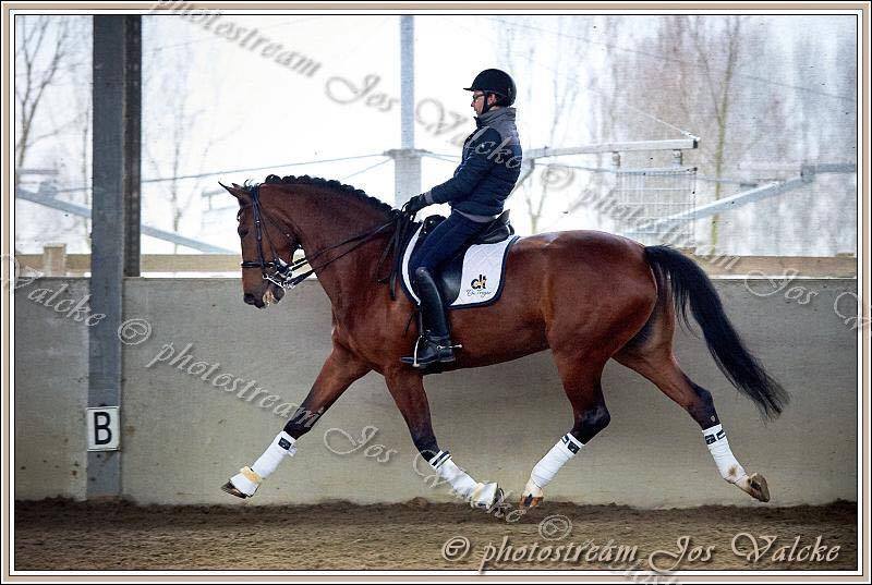 14 Februari 2016, Flow ( Tango X Democraat ) op Clinic.