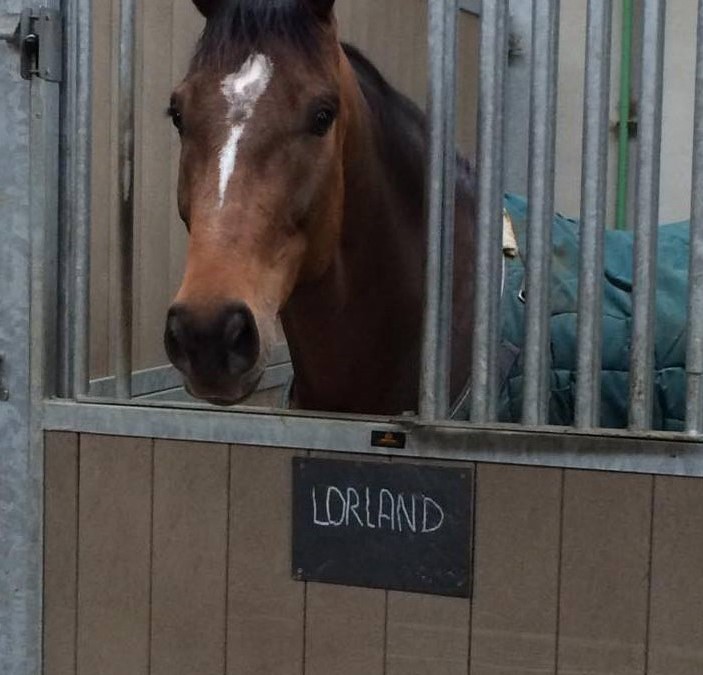 Lorland