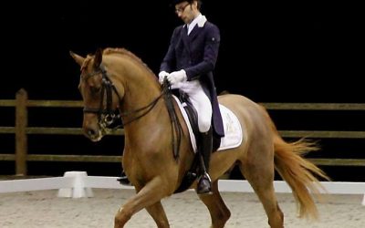 Rachmaninoff VD Roosenboom (Rubiquil X Ravel)